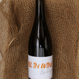 Jean Louis Pinto - A.I.W (All in wine) - Rouge - 2018 - 75cl