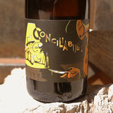 Jean Louis Pinto - Conciliabulle - Rosé Pétillant - 2018 - 75cl