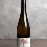 Domaine Einhart - Paradoxe 2021- Blanc - 75cl
