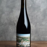 Jean Louis Pinto - Cinsauriel - Rouge - 2021 - 75cl